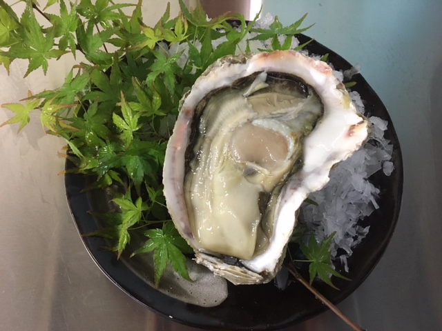 天然岩牡蠣の通販・お取り寄せ 七條水産｜宮崎県産・生食用岩牡蠣の販売