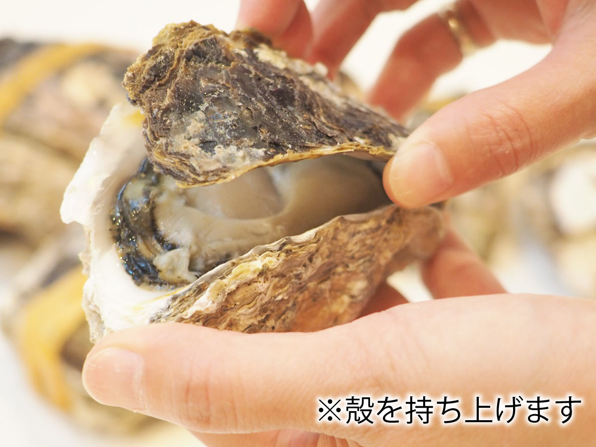 岩牡蠣　殻付き300g〜500g 9個入り一箱2.7kg以上